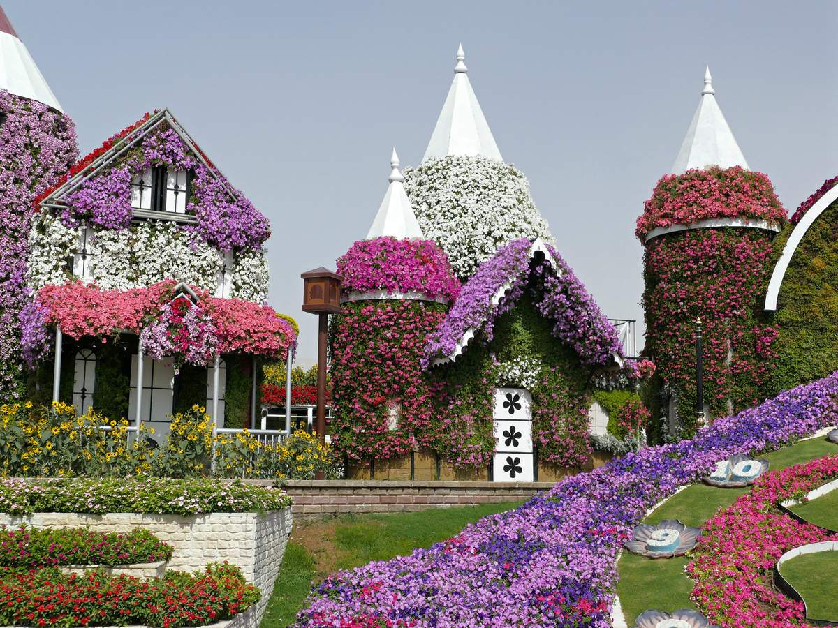 Visit the Dubai Miracle Garden